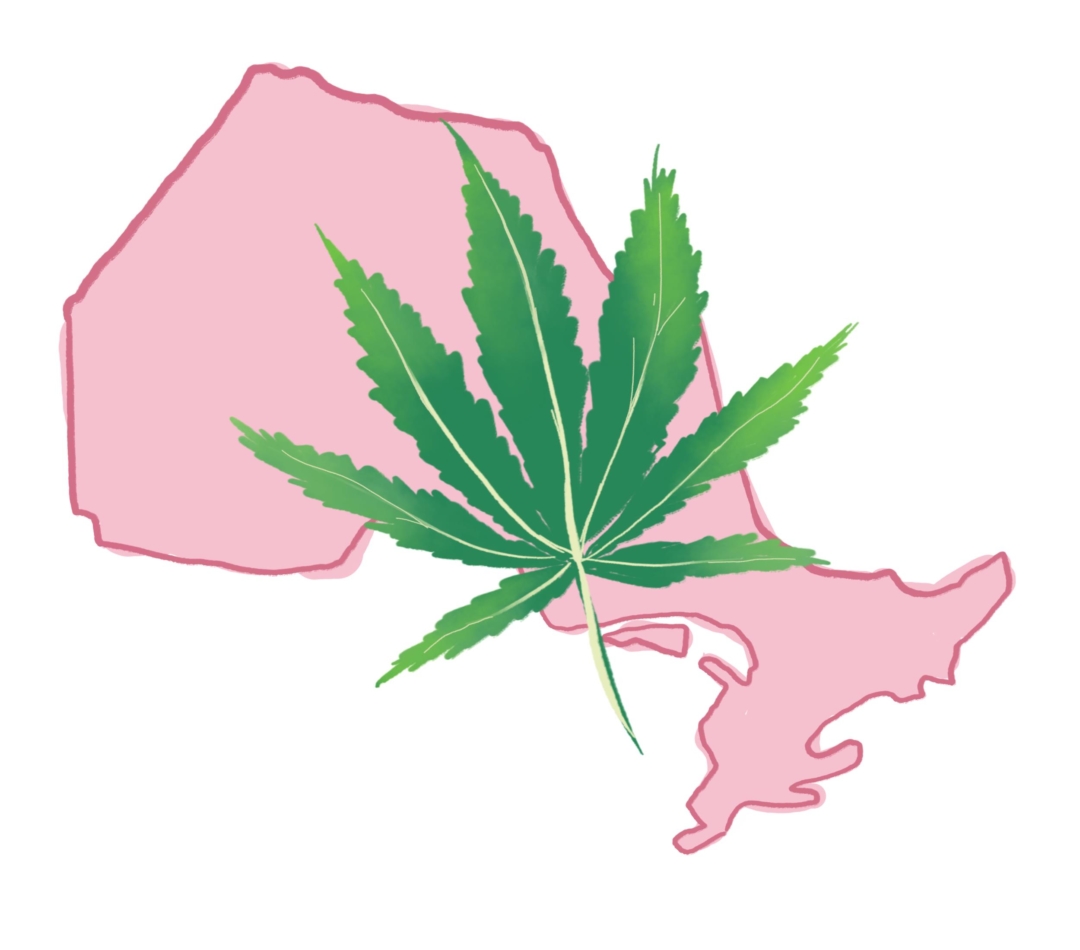 详细解读：大麻合法化对加拿大 意味着什么？
