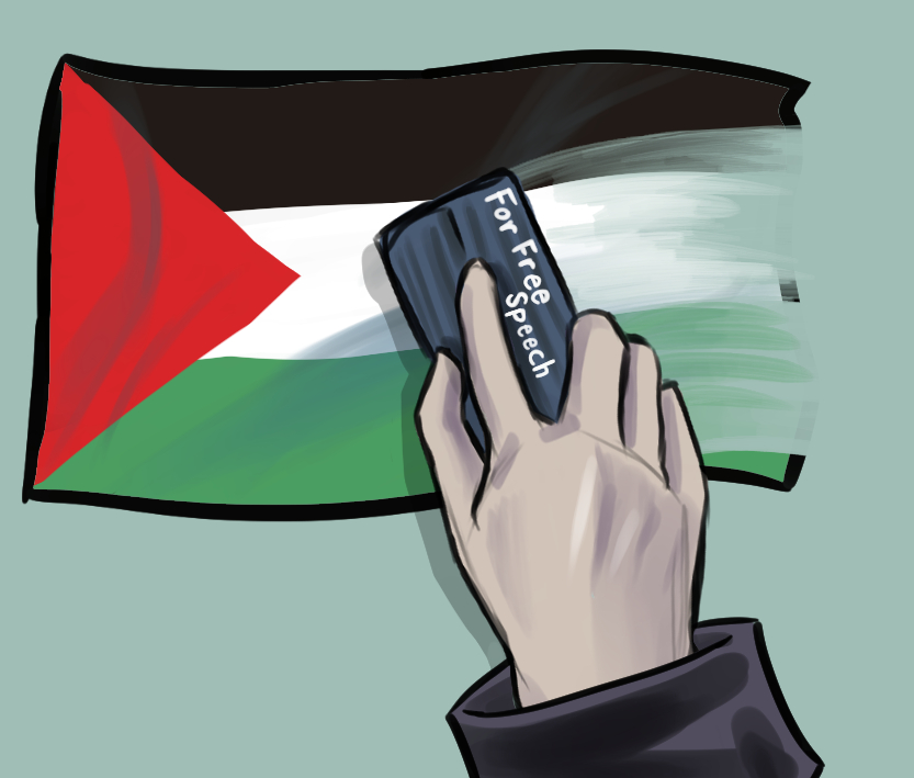 谁为巴勒斯坦发声？